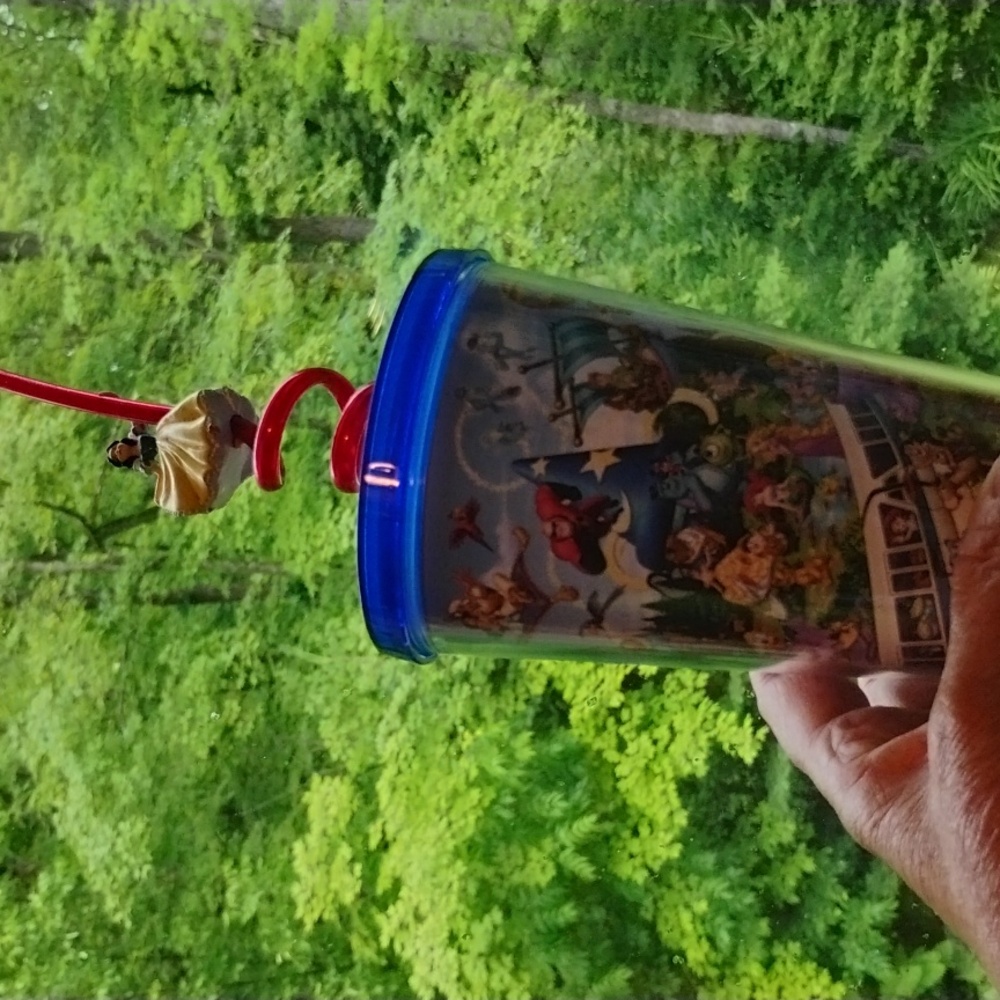 🏰 WALT Disney World TUMBLER Friends of The Park  VNPLC  6 1/2" EPLC w/Lid